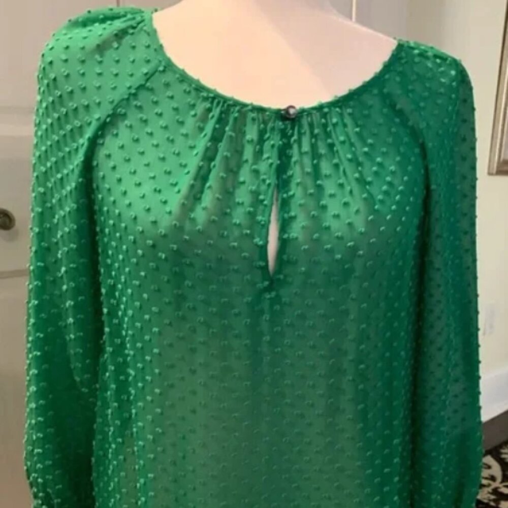 JCrew Blouse- Sheer Green Swiss Dot Fabric with Keyhole